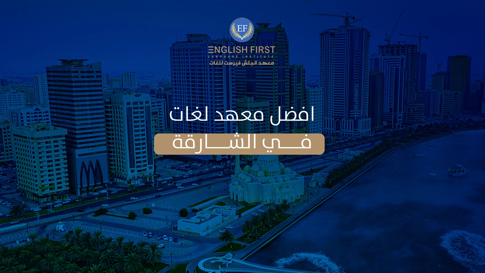 افضل معهد لغات في الشارقة